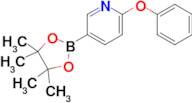 2-Phenoxy-5-(4,4,5,5-tetramethyl-1,3,2-dioxaborolan-2-yl)pyridine