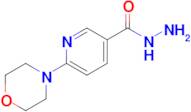 6-Morpholinonicotinohydrazide