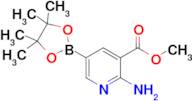 Methyl 2-amino-5-(4,4,5,5-tetramethyl-1,3,2-dioxaborolan-2-yl)nicotinate