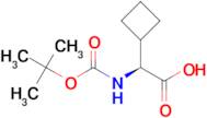 (S)-2-((tert-Butoxycarbonyl)amino)-2-cyclobutylacetic acid