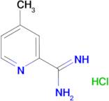 4-Methylpicolinimidamide hydrochloride