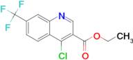 Ethyl 4-chloro-7-(trifluoromethyl)quinoline-3-carboxylate