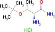 H-Thr(tBu)-NH2.HCl