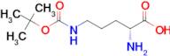 (R)-2-Amino-5-((tert-butoxycarbonyl)amino)pentanoic acid