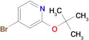4-Bromo-2-(tert-butoxy)pyridine
