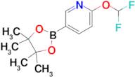 2-(Difluoromethoxy)-5-(4,4,5,5-tetramethyl-1,3,2-dioxaborolan-2-yl)pyridine