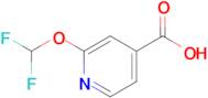 2-(Difluoromethoxy)isonicotinic acid