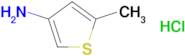 5-Methylthiophen-3-amine hydrochloride