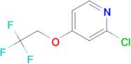 2-Chloro-4-(2,2,2-trifluoroethoxy)pyridine