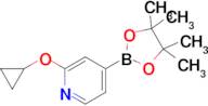 2-Cyclopropoxy-4-(4,4,5,5-tetramethyl-1,3,2-dioxaborolan-2-yl)pyridine