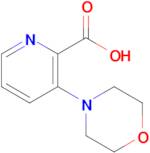 3-Morpholinopicolinic acid