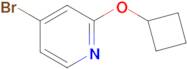 4-Bromo-2-cyclobutoxypyridine