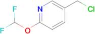 5-(Chloromethyl)-2-(difluoromethoxy)pyridine