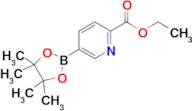 Ethyl 5-(4,4,5,5-tetramethyl-1,3,2-dioxaborolan-2-yl)picolinate