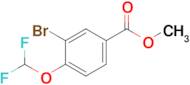 Methyl 3-bromo-4-(difluoromethoxy)benzoate