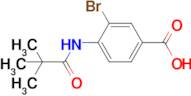 3-Bromo-4-pivalamidobenzoic acid