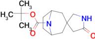 tert-Butyl 5'-oxo-8-azaspiro[bicyclo[3.2.1]octane-3,3'-pyrrolidine]-8-carboxylate