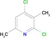 2,4-Dichloro-3,6-dimethylpyridine