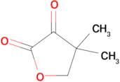 4,4-Dimethyldihydrofuran-2,3-dione