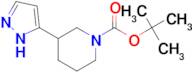tert-Butyl 3-(1H-pyrazol-3-yl)piperidine-1-carboxylate