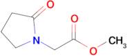Methyl 2-(2-oxopyrrolidin-1-yl)acetate