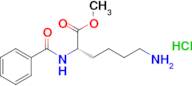 (S)-Methyl 6-amino-2-benzamidohexanoate hydrochloride