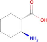 (1S,2S)-2-Aminocyclohexanecarboxylic acid