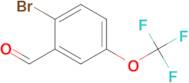 2-Bromo-5-(trifluoromethoxy)benzaldehyde