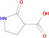 2-Oxo-pyrrolidine-3-carboxylic acid