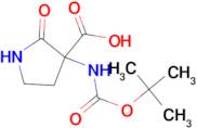 3-Bocamino-2-oxo-pyrrolidine-3-carboxylic acid