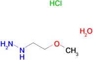 (2-methoxyethyl)hydrazine hydrochloride hydrate