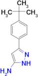 3-(4-tert-butylphenyl)-1H-pyrazol-5-amine