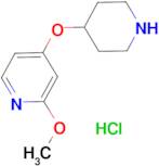 2-Methoxy-4-(piperidin-4-yloxy)pyridinehydrochloride