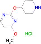 4-Methoxy-2-(piperidin-4-yloxy)pyrimidine hydrochloride