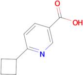 6-Cyclobutylnicotinic acid