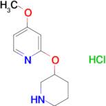 4-Methoxy-2-(piperidin-3-yloxy)pyridinehydrochloride