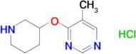 5-Methyl-4-(piperidin-3-yloxy)pyrimidinehydrochloride