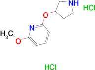 2-Methoxy-6-(pyrrolidin-3-yloxy)pyridinedihydrochloride