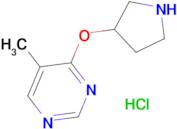 5-Methyl-4-(pyrrolidin-3-yloxy)pyrimidine hydrochloride