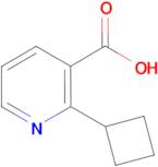 2-Cyclobutylnicotinic acid