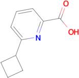 6-Cyclobutylpicolinic acid