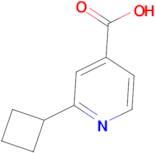 2-Cyclobutylisonicotinic acid