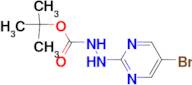 tert-butyl 2-(5-bromo-2-pyrimidinyl)hydrazinecarboxylate