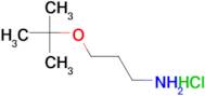 3-(tert-Butoxy)propylamine hydrochloride