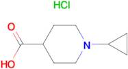 1-CYCLOPROPYLPIPERIDINE-4-CARBOXYLIC ACID HCL