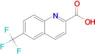 6-(TRIFLUOROMETHYL)QUINOLINE-2-CARBOXYLIC ACID