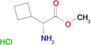(R)-METHYL 2-AMINO-2-CYCLOBUTYLACETATE HCL