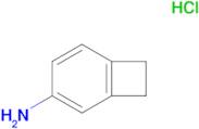 4-Aminobenzocyclobutane hydrochloride