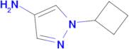 1-CYCLOBUTYL-1H-PYRAZOL-4-AMINE