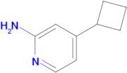 4-CYCLOBUTYLPYRIDIN-2-AMINE